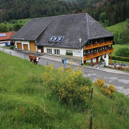 Ferienwohnung Talblick Todtmoos Dış mekan fotoğraf