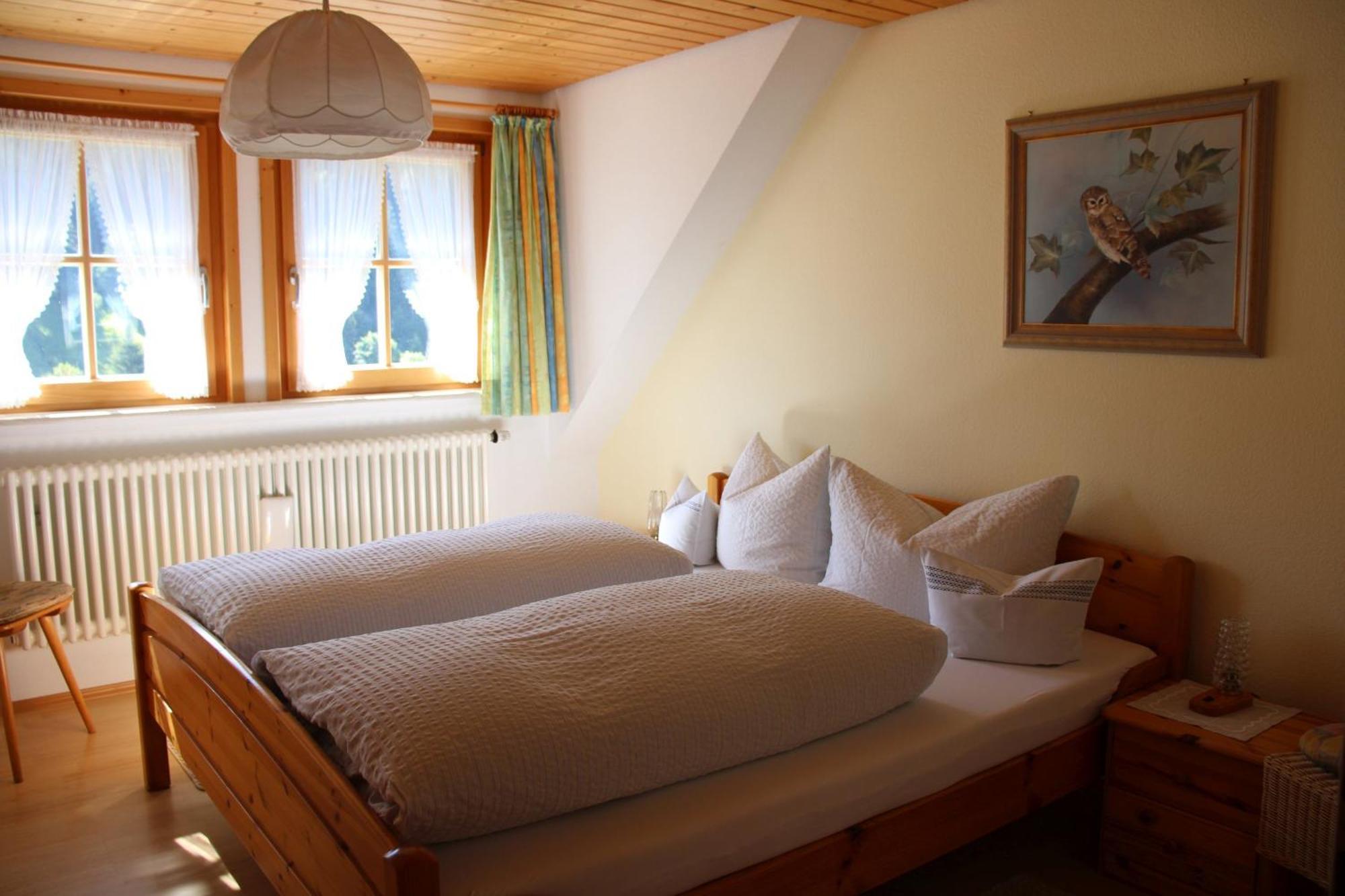 Ferienwohnung Talblick Todtmoos Dış mekan fotoğraf