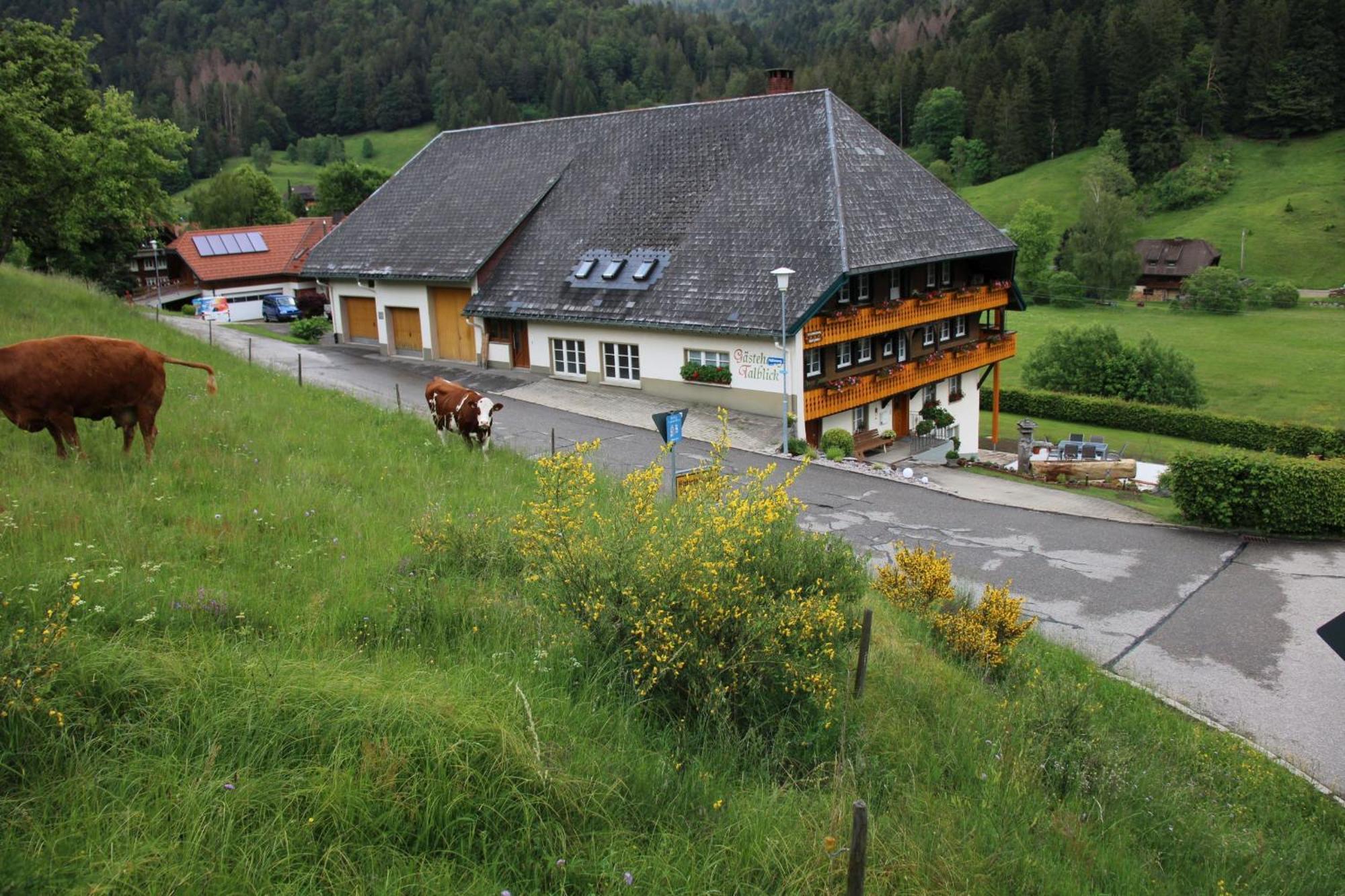 Ferienwohnung Talblick Todtmoos Dış mekan fotoğraf
