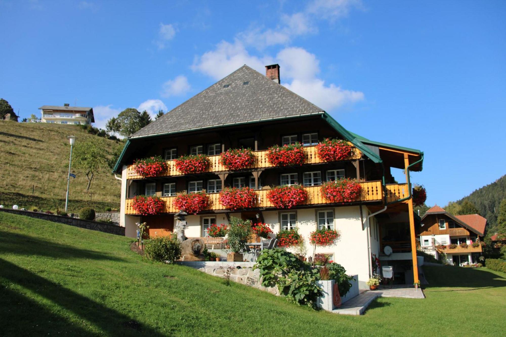 Ferienwohnung Talblick Todtmoos Dış mekan fotoğraf